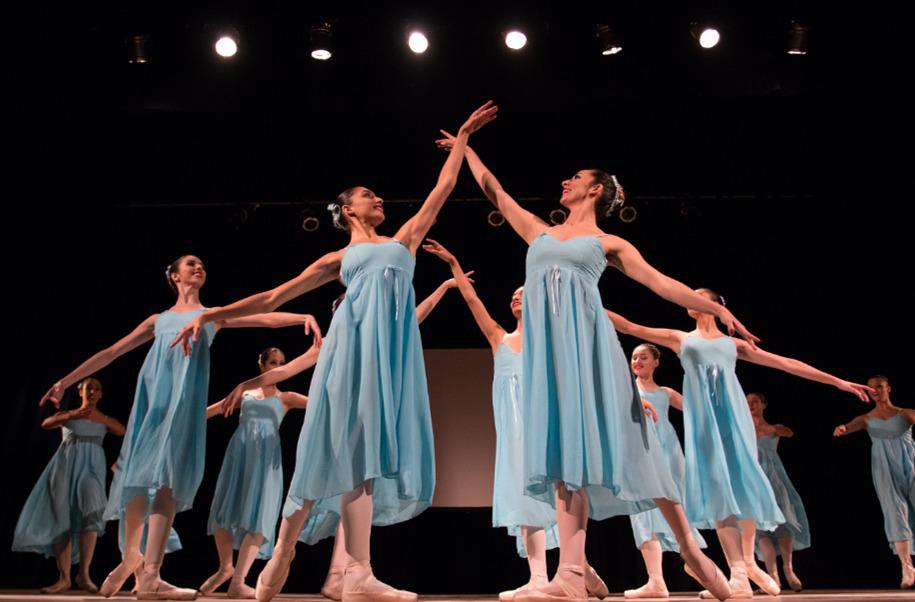 LA FUNDACIÓN JULIO BOCCA OFRECERÁ UNA GALA A BENEFICIO DE GENAP EL 22 DE NOVIEMBRE