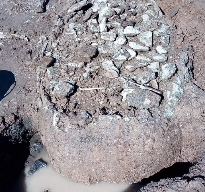 ESTE FIN DE SEMANA LLEGA UN GRUPO DE EXPERTOS PARA COMENZAR LOS ESTUDIOS DE LOS RESTOS DE GLIPTODONTE HALLADOS EN CUERO DE ZORRO