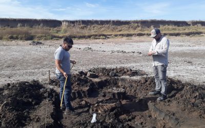 HALLAZGO PALEONTOLÓGICO EN LOMA ALTA, DE BERUTI: SE ENCONTRARON VÉRTEBRAS QUE PODRÍAN SER DE UN PEREZOSO TERRESTRE GIGANTE (MEGATERIO)