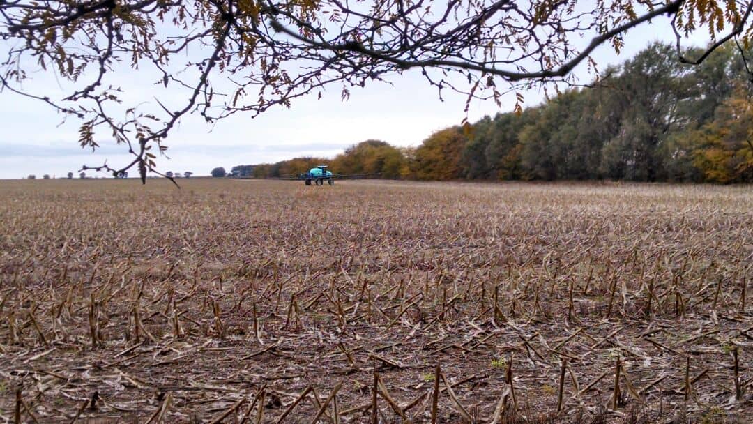 Infraccionan a propietario por fumigación lindera a Escuela Rural