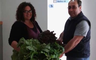 Primera cosecha de verduras de la Unidad Hortícola Municipal Nº1