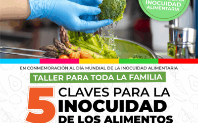 DÍA MUNDIAL DE LA INOCUIDAD ALIMENTARIA: EL PRÓXIMO SÁBADO (7) EL EQUIPO DE BROMATOLOGÍA MUNICIPAL DICTARÁ UN TALLER EN PLAZA SAN MARTÍN