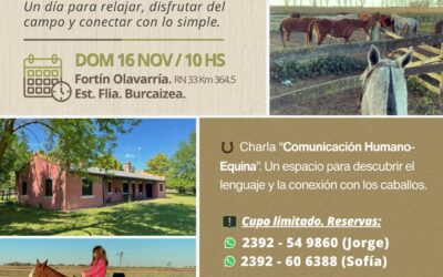 DÍA DE CAMPO, UN DOMINGO DISTINTO ENTRE CABALLOS, CHARLAS Y BUENA COMIDA, A BENEFICIO DE LA CÁSITA DE LÉRTORA, EL DOMINGO 16 DE NOVIEMBRE