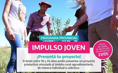 PROGRAMA “IMPULSO JOVEN” DE ASESORAMIENTO TÉCNICO Y ECONÓMICO A PROYECTOS PRODUCTIVOS DESTINADO A JÓVENES DEL ÁMBITO RURAL