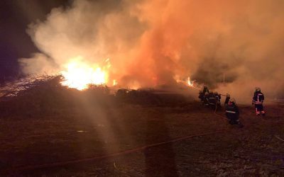 VIVERO MUNICIPAL: BOMBEROS VOLUNTARIOS CONTUVO UN INCENDIO QUE SE PRODUJO AYER POR LA TARDE EN UNAS RAMAS ACOPIADAS DESPUÉS DEL ÚLTIMO TEMPORAL