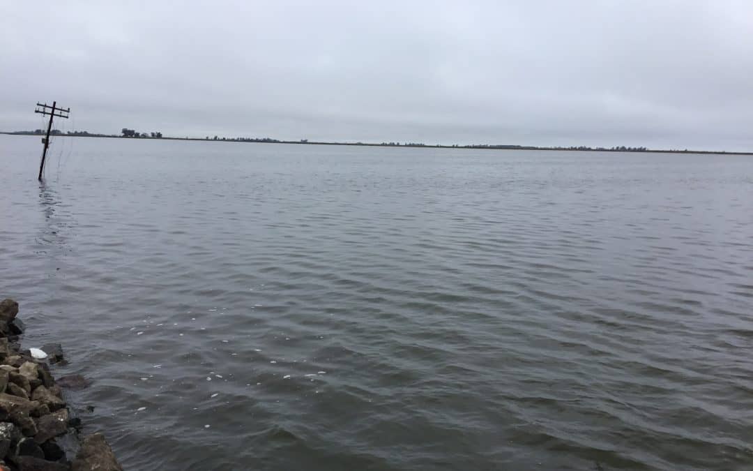 Fernández solicitó la intervención urgente de Hidráulica por un desborde del canal