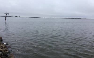 Fernández solicitó la intervención urgente de Hidráulica por un desborde del canal