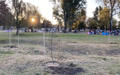 JORNADA POR EL MEDIO AMBIENTE: SE PLANTARON 20 SAUCES CRIOLLOS EN EL PARQUE MUNICIPAL Y SE ENTREGARON PLANTAS DE JARD