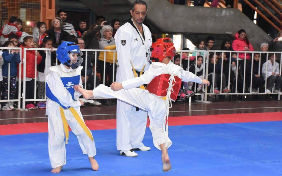 LA COMISIÓN DE ARTES MARCIALES ORGANIZA UNA CHARLA FORMATIVA A CARGO DE EDUARDO ALONSO