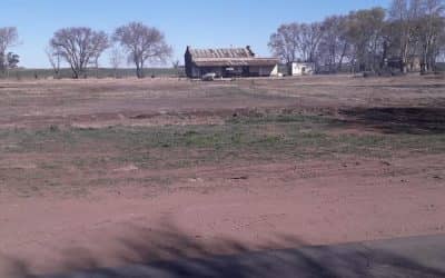 COMPLETARON LOS TRABAJOS DE LIMPIEZA Y NIVELACION EN EL CUADRO DE ESTACION DEL PARAJE LA PORTEÑA