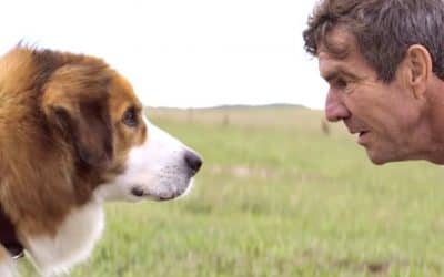 30 de Agosto: se proyectará «La razón de estar contigo»