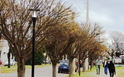 Finaliza el recambio de luces en el cuadro de Estación