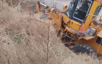 EL MUNICIPIO SIGUE CON LAS TAREAS DE LIMPIEZA EN LA ZONA ALEDAÑA AL PASO A NIVEL DETRÁS DEL BARRIO LA LONJA: SE SACARON UNOS 80 CAMIONES COMPLETOS DE BASURA