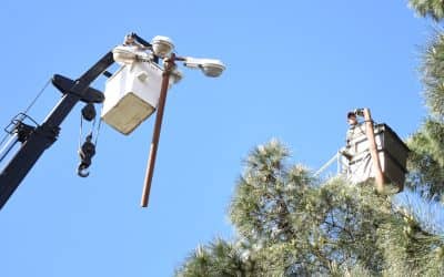 Se colocan nuevas luces led en la Plaza San Martín