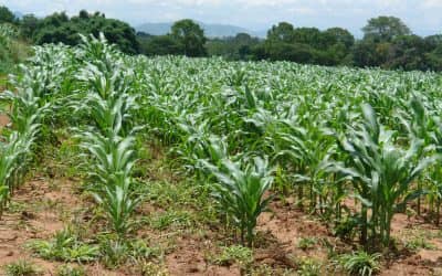 Sigue abierta la inscripción al Programa de Reconversión Productiva