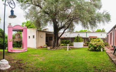 LOS MUSEOS PARA VISITAR EL FIN DE SEMANA, UNA SALIDA GRATUITA PARA INVERTIR EN CONOCIMIENTO