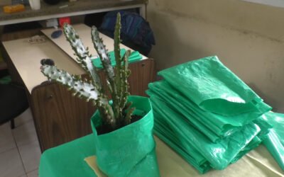 EL ÁREA DE AMBIENTE ACOMPAÑARÁ LOS FESTEJOS POR EL 148° ANIVERSARIO DE LA CIUDAD CON UN STAND EN PLAZA SAN MARTÍN: ENTREGARÁN PLANTINES Y SEMILLAS