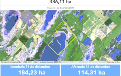 EL MUNICIPIO LICITA EL ARRENDAMIENTO DE PREDIOS RURALES EN EL BAJO VIDANIA PARA LA EXPLOTACIÓN AGRÍCOLA Y/O GANADERA POR TRES AÑOS