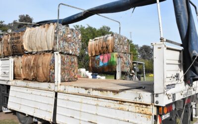 EN EL AÑO 2025 EN TODO EL DISTRITO SE RECUPERARON MÁS DE 450.000 KILOS DE MATERIAL RECICLABLE