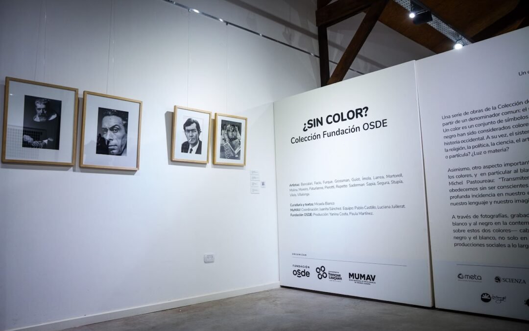 VISITAS GUIADAS A CARGO DE LA CURADORA DE LA MUESTRA DE LA FUNDACIÓN OSDE EN EL MUMAV