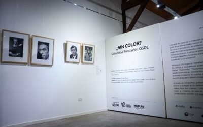 VISITAS GUIADAS A CARGO DE LA CURADORA DE LA MUESTRA DE LA FUNDACIÓN OSDE EN EL MUMAV
