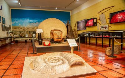 EL MUSEO HISTÓRICO REGIONAL MAÑANA (SÁBADO) ABRIRÁ SOLO DE 9 A 11, Y EL MUSEO DE LOS CARRUAJES ESTARÁ CERRADO EL DOMINGO (7) POR LA TARDE
