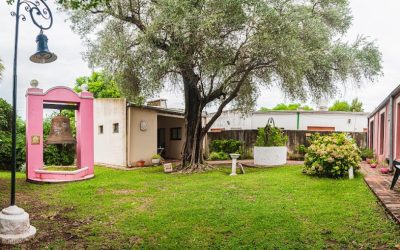 MUESTRA TEMPORAL DE 700 ESTUCHES Y CAJAS DE FÓSFOROS EN EL MUSEO ALMAFUERTE