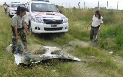 Nuevo operativo contra la pesca clandestina