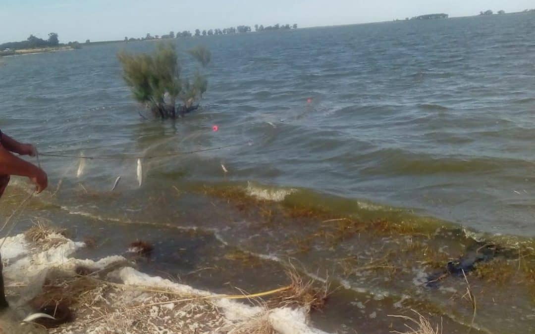 Otro operativo contra la pesca clandestina