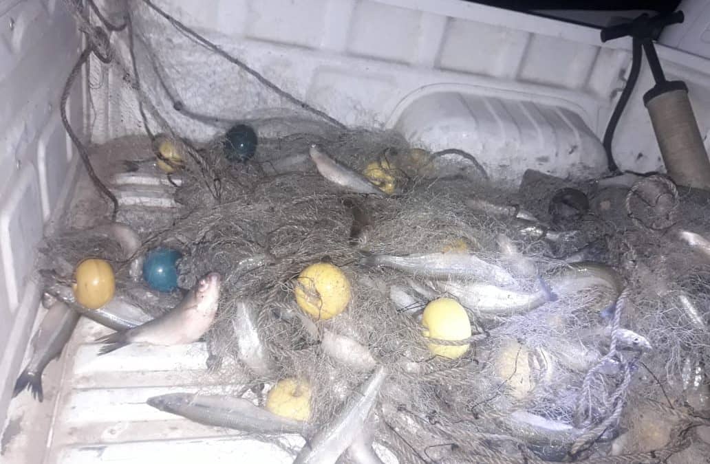 PESCA CLANDESTINA: SE INFRACCIONÓ A UN HOMBRE QUE ARROJABA DESPERDICIOS DE CARPA Y SE SECUESTRÓ UNA RED CON PEJERREYES