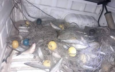PESCA CLANDESTINA: SE INFRACCIONÓ A UN HOMBRE QUE ARROJABA DESPERDICIOS DE CARPA Y SE SECUESTRÓ UNA RED CON PEJERREYES