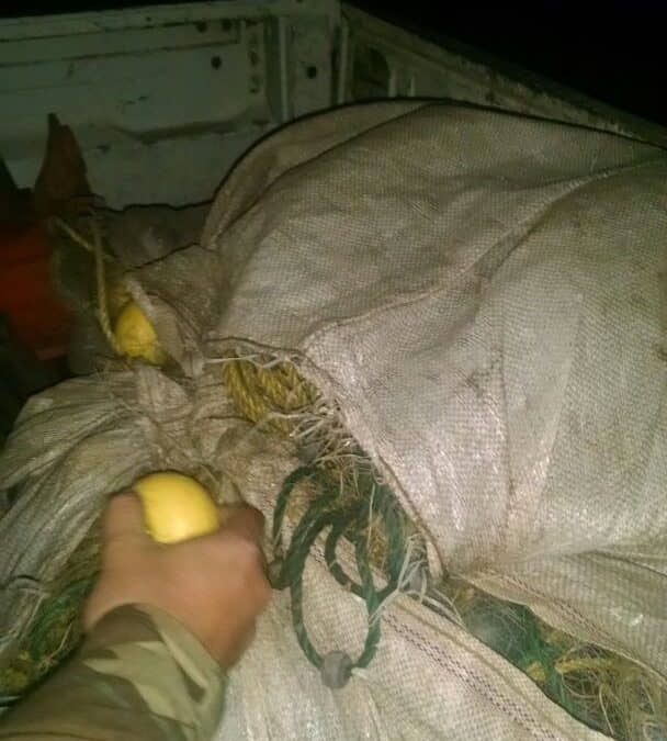 Operativo contra la pesca clandestina