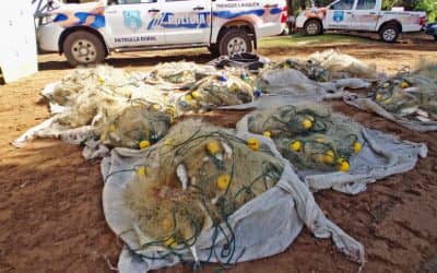 Nuevo operativo contra la pesca clandestina: secuestran redes y pescado