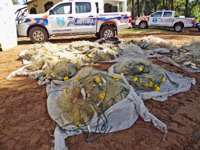 Nuevo operativo contra la pesca clandestina: secuestran redes y pescado