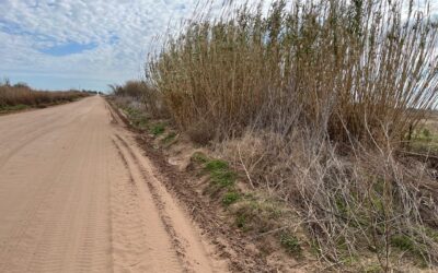 PERSONAL MUNICIPAL REALIZÓ UN NUEVO OPERATIVO DE LIMPIEZA EN LA CALLE NÉSTOR KIRCHNER Y LLORENS