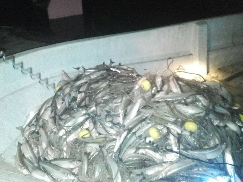 Se realizó otro operativo contra la pesca clandestina