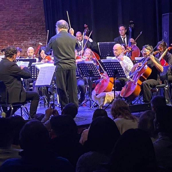 CONCIERTO DE LA ORQUESTA SINFÓNICA MUNICIPAL, EL PRÓXIMO DOMINGO (16) EN LA CASA DE LA HISTORIA Y LA CULTURA