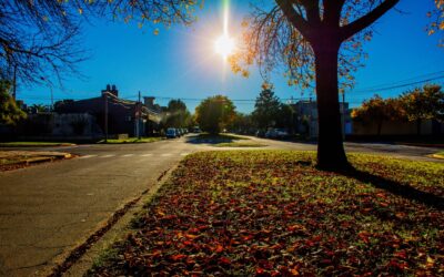 150º ANIVERSARIO: EL MUNICIPIO LANZA EL CONCURSO FOTOGRÁFICO: “150 OTOÑOS: CAPTURA EL BOSQUE URBANO QUE RESPIRA CON NOSOTROS”