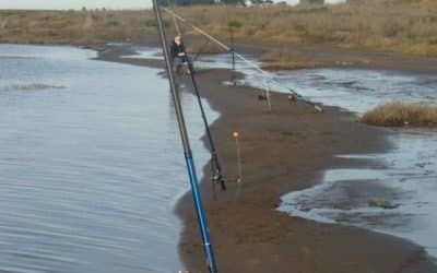 PROVINCIA HIZO EL ESTUDIO EN LA LAGUNA LAS TUNAS Y HASTA EL PRÓXIMO VIERNES ESTÁ ABIERTA LA INSCRIPCIÓN PARA LA PESCA COMERCIAL DE PEJERREY