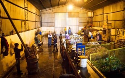 30 DE AGOSTO: MAÑANA (VIERNES) HABRA UN TALLER SOBRE RECUPERACIÓN DE MATERIALES DERIVADOS DE RESIDUOS