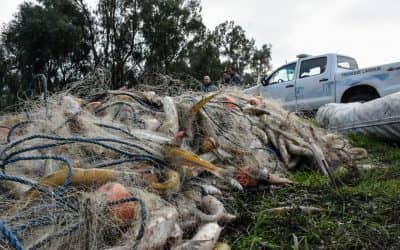 Se realizó el operativo contra la pesca clandestina más importante del año