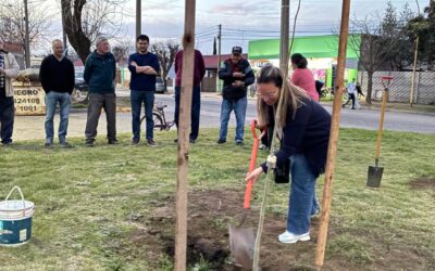EL MUNICIPIO JUNTO A LA COMUNIDAD DE LOS BARRIOS INDIO TROMPA Y ESPERANZA INCORPORAN ESPECIES NATIVAS EN SUS ESPACIOS VERDES