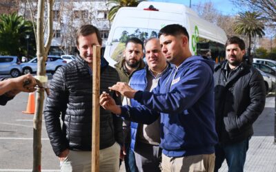 EL MUNICIPIO Y CARGILL ARTICULAN UN PROYECTO DE FORESTACIÓN DE ARBOLADO URBANO PARA ESPACIOS PÚBLICOS DEL DISTRITO