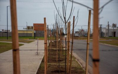 EL MUNICIPIO REALIZÓ TAREAS DE FORESTACIÓN EN EL PARQUE LINEAL DE LA AMPLIACIÓN URBANA