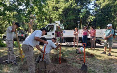 ESPACIOS VERDES REALIZÓ TAREAS DE FORESTACIÓN EN RAMBLAS DE LA CALLE ALMAFUERTE EN CONJUNTO CON EL CENTRO DE ESCRITORES