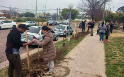 DÍA MUNDIAL DEL AMBIENTE: POR INICIATIVA DE LA FILIAL “NOLO” FERREIRA Y CON EL ASESORAMIENTO DE ESPACIOS VERDES SE PLANTARON ÁRBOLES EN MERENDEROS LOCALES