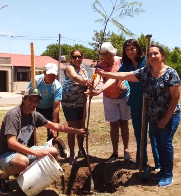 VECINOS/AS DEL BARRIO SCHILLING Y PERSONAL DE ESPACIOS VERDES PLANTARON UN JACARANDÁ EN LA PLAZA JAIME CIGLIA