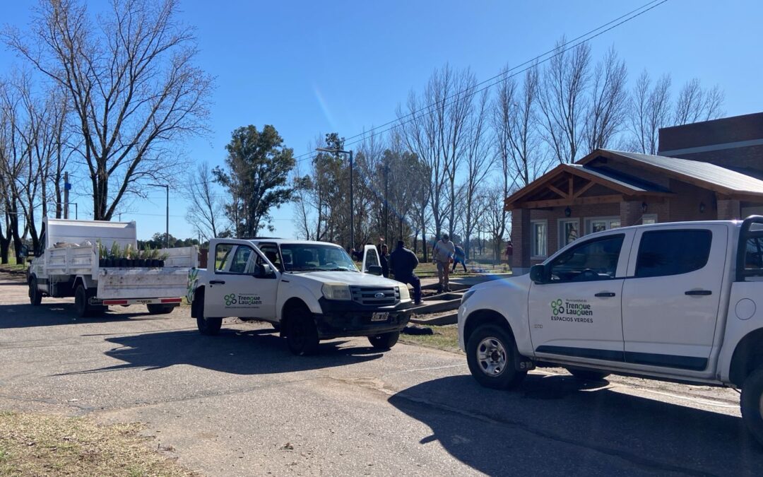 NUEVO DISEÑO PAISAJÍSTICO: COMENZÓ LA PLANTACIÓN DE ÁRBOLES EN EL SECTOR DEL CREMATORIO EN EL CEMENTERIO DE TRENQUE LAUQUEN