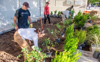 150° ANIVERSARIO: COMENZÓ LA PLANTACIÓN DE LOS CANTEROS UBICADOS EN EL FRENTE DEL EDIFICIO DE LA MUNICIPALIDAD