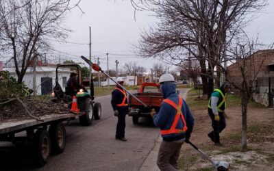 EL MUNICIPIO REALIZA TAREAS DE PODA BAJA EN ÁRBOLES UBICADOS EN ZONA URBANA DE LA CIUDAD